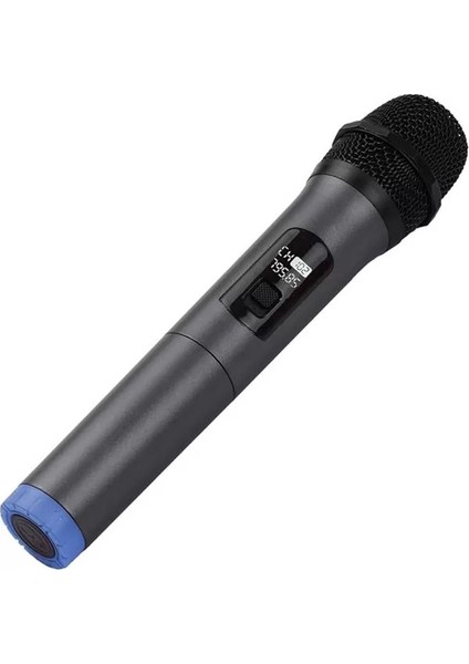 Profesyonel Kablosuz Mikrofon Dinamik Mikrofon Taşınabilir Mini Alıcı 6.35MM Fiş fiyatları