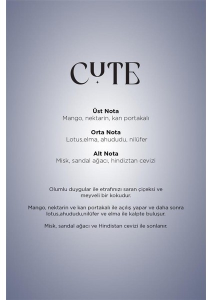 Carpex Cute 125 Ml. Classic Seri E2 Power Makine Koku Kartuşu 6 Adet fırsatları