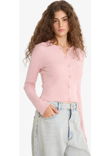 Regular Fit Bisiklet Yaka Triko Hırka A2076AX25WN modelleri