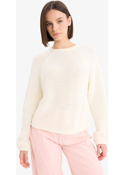 Coool Regular Fit Bisiklet Yaka Triko Kazak L2567AZ25WN fırsatları