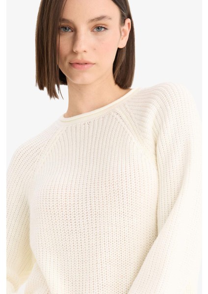 Coool Regular Fit Bisiklet Yaka Triko Kazak L2567AZ25WN indirimleri