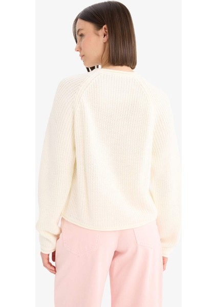 Coool Regular Fit Bisiklet Yaka Triko Kazak L2567AZ25WN