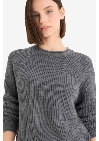 Coool Regular Fit Bisiklet Yaka Triko Kazak L2567AZ25WN