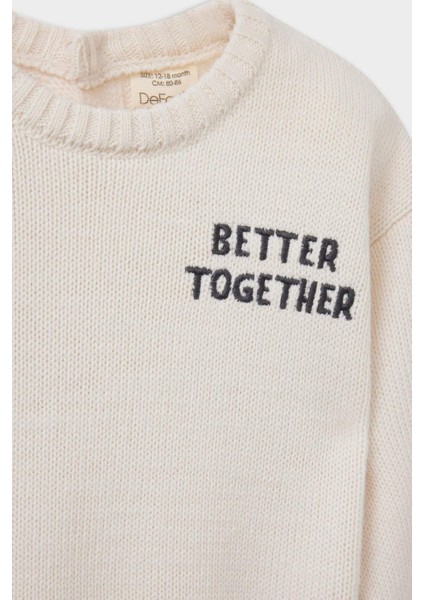 Erkek Bebek Bisiklet Yaka Baskılı Triko Kazak A3851A525AU fiyatları