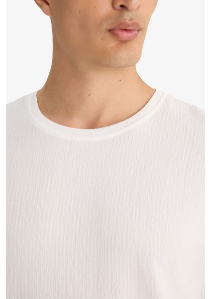 Regular Fit Bisiklet Yaka Dokulu Kısa Kollu Tişört F8480AX25AU indirimleri