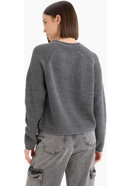 Coool Regular Fit Bisiklet Yaka Triko Kazak L2567AZ25WN