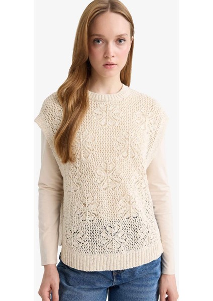 Bisiklet Yaka Nakışlı Triko Süveter F3296AX25AU