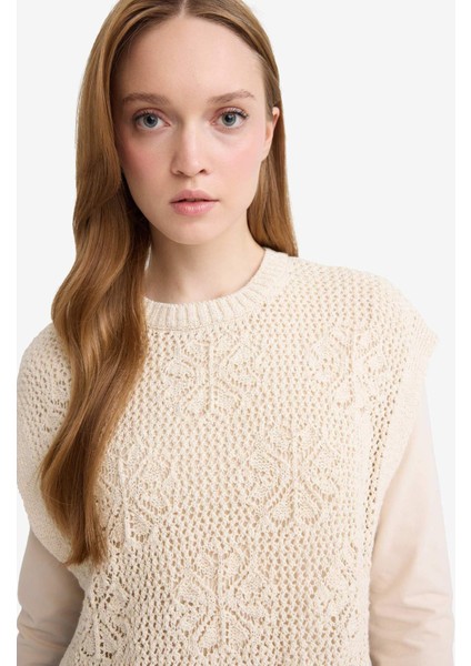 Bisiklet Yaka Nakışlı Triko Süveter F3296AX25AU indirimleri