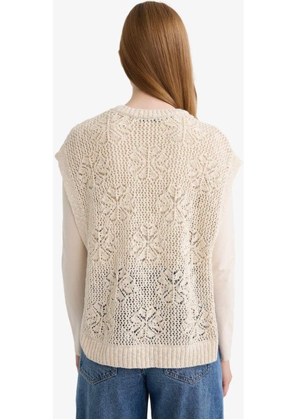 Bisiklet Yaka Nakışlı Triko Süveter F3296AX25AU