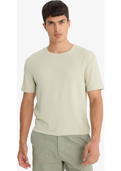 Regular Fit Bisiklet Yaka Dokulu Kısa Kollu Tişört F8480AX25AU modelleri