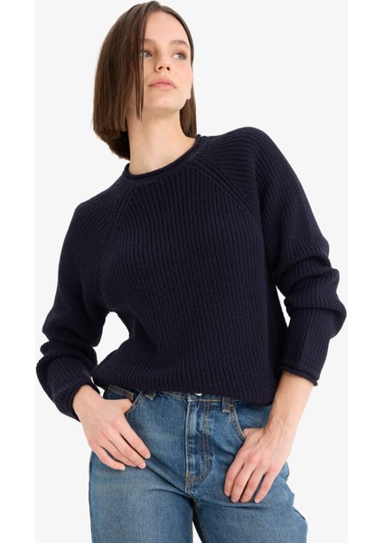 Regular Fit Bisiklet Yaka Triko Kazak L2567AZ25WN fırsatları