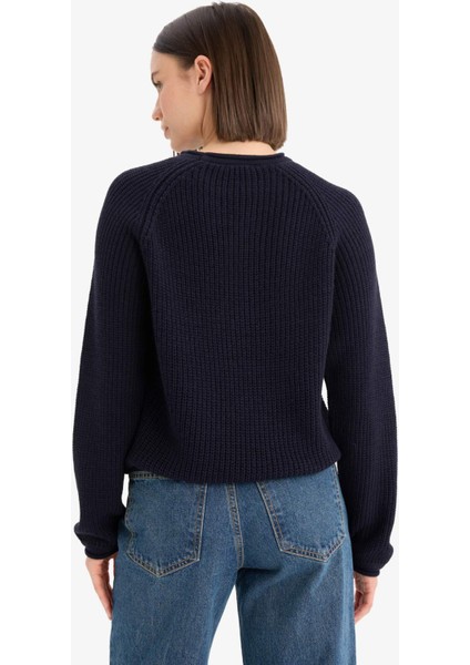 Regular Fit Bisiklet Yaka Triko Kazak L2567AZ25WN