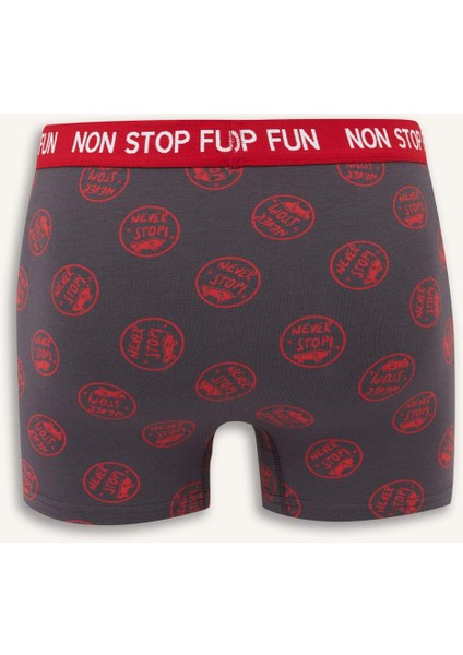 Regular Fit Desenli 3'lü Boxer B4782AX25AU modelleri