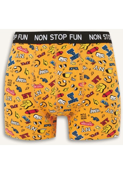 Regular Fit Desenli 3'lü Boxer B4782AX25AU