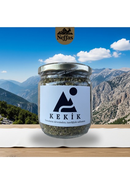 Kekik