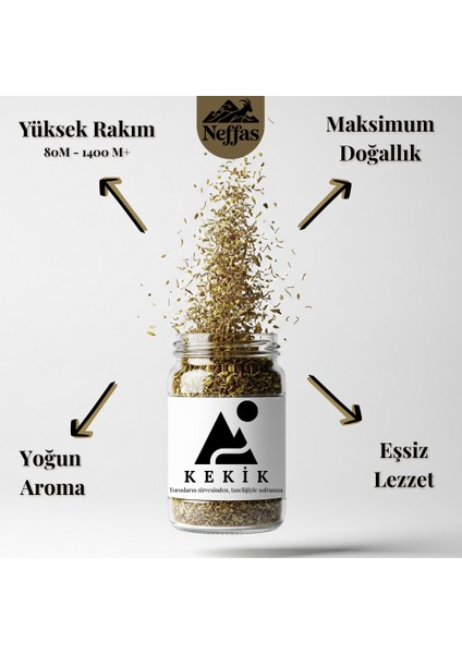 Kekik fiyatları