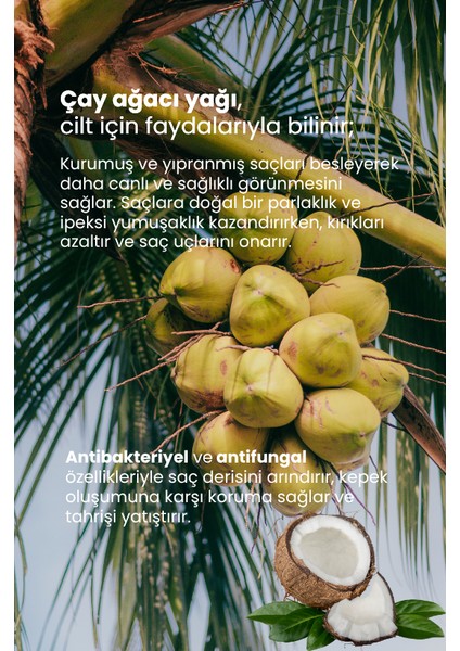 Hindistan Cevizi Yağı modelleri