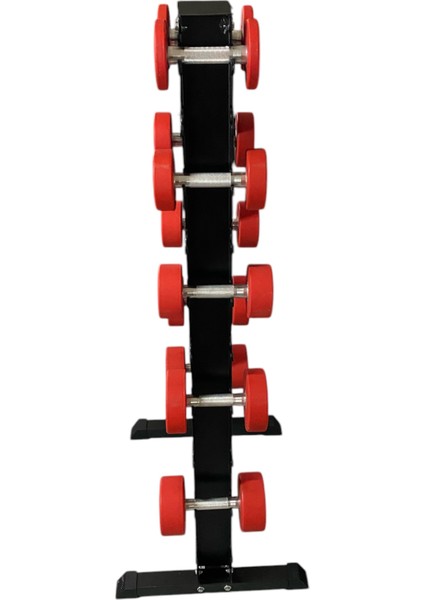 Dambıl Standı 10 Kademeli Set Dambıl Rack Stand Sehpas (Ağırlıksız) fiyatları