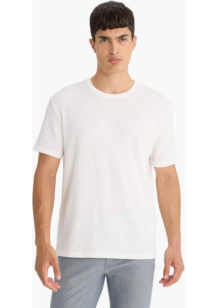 Regular Fit Bisiklet Yaka Dokulu Kısa Kollu Tişört F8480AX25AU modelleri