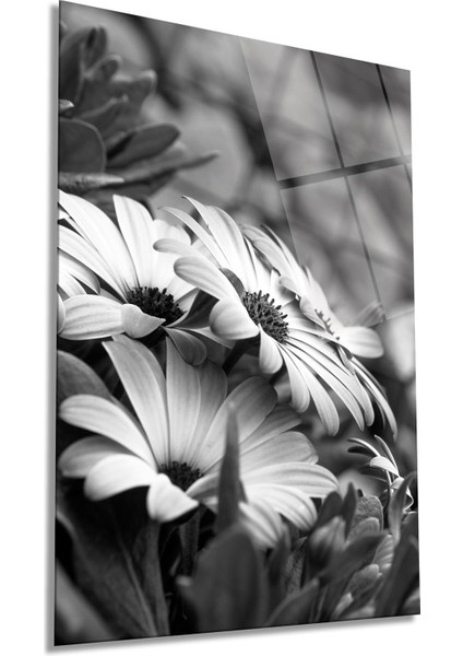 Siyah Beyaz Çiçek Dikey Cam Tablo, Ev ve Ofis Duvar Dekoru, Lüks Hediyelik, Kırılmaz Çizilmez