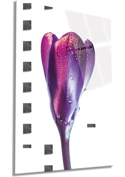 Narin Pembe Çiçek Dikey Cam Tablo, Ev ve Ofis Duvar Dekoru, Lüks Hediyelik, Kırılmaz Çizilmez