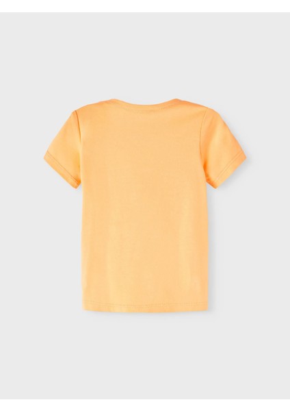 Erkek Çocuk Bisiklet Yaka Ts-Hirt 13217607 fiyatları