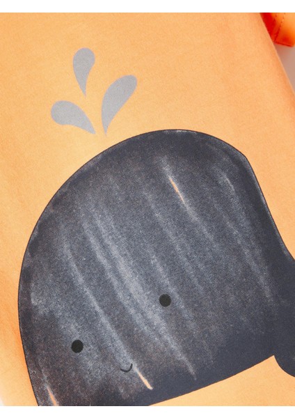 Erkek Çocuk Bisiklet Yaka Ts-Hirt 13217607 modelleri