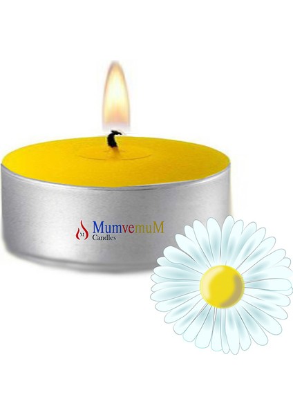 50 Li Melisa Kokulu Yeşil Tealight Mum