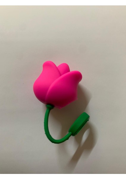 Termos Pipet Koruyucu Süs