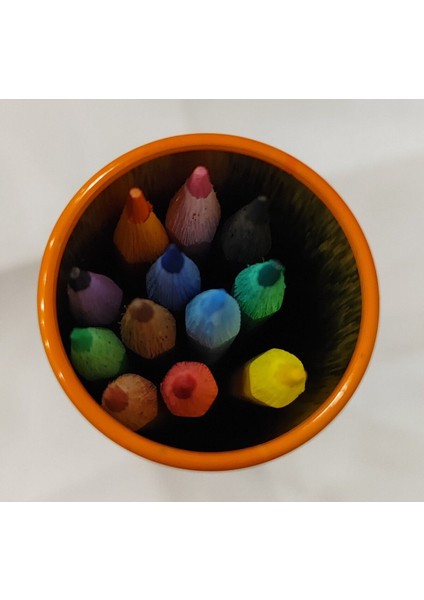 4 Adet Stickerli Boyama Kitabı ve 12 Li Tüp Kuru Boya Kalemi (Stitchb/blueyb/prensesler/tweety)