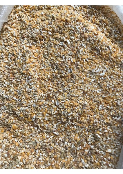 Kırma Mısır 10 kg - Tavuk ve Tavşanlara Özel Doğal Yem