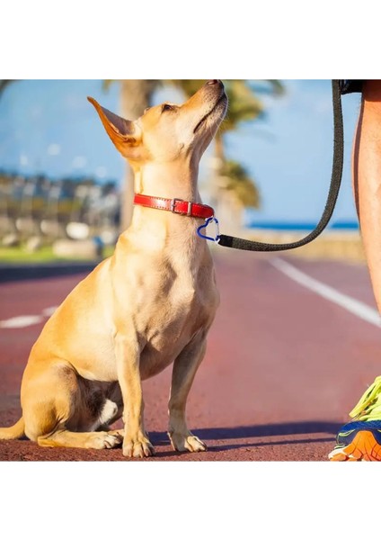 Adventure Kalp Karabina