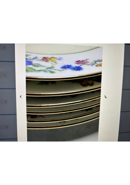 Limoges Pasta Tabakları 6 Adet 18,5 cm Çapında