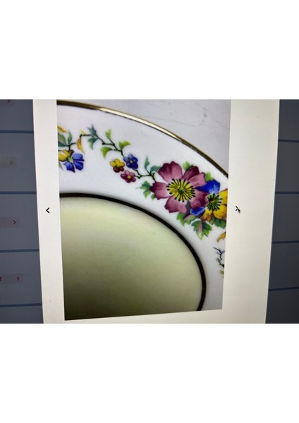 Limoges Pasta Tabakları 6 Adet 18,5 cm Çapında fiyatları