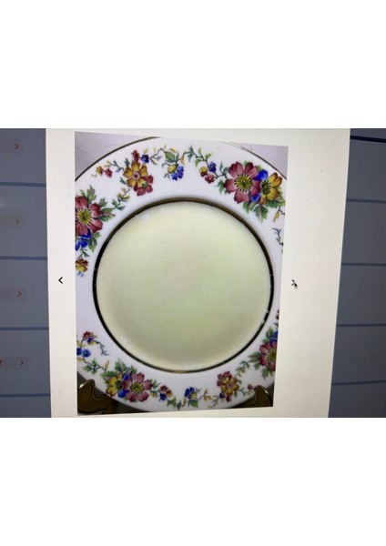 Limoges Pasta Tabakları 6 Adet 18,5 cm Çapında fırsatları
