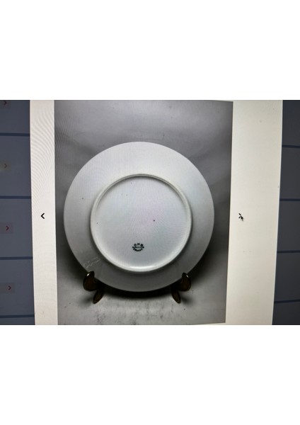 Limoges Pasta Tabakları 6 Adet 18,5 cm Çapında indirimleri
