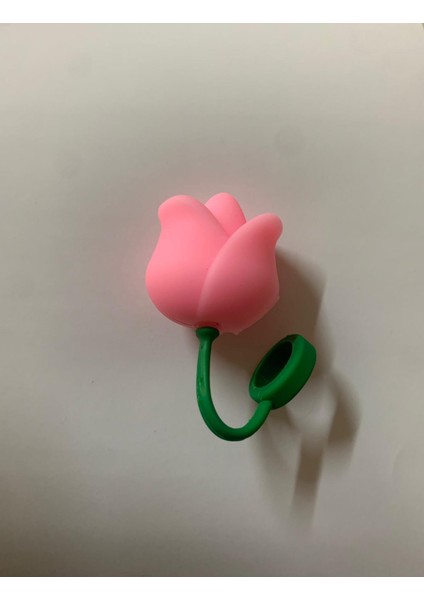 Termos Koruyucu Süs