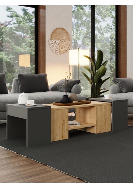 Ople Zigonlu Orta Sehpa Safir Meşe Antrasit