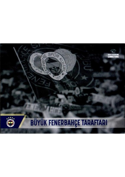 Büyük Fenerbahçe Taraftarı
