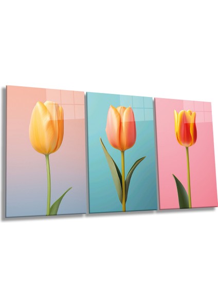 Çok Renkli Laleler Kombini 3 Parça Set Cam Tablo, Ev ve Ofis Duvar Dekoru, Lüks Hediyelik