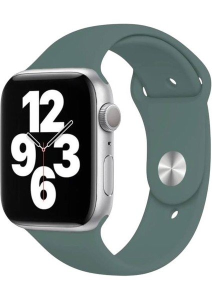 Apple Watch Series Ultra 10/9/8/7/6/5/4/se/3/2/1 49MM-46MM-45MM-44MM-42MM M/l Beden Silikon Kordon fırsatları