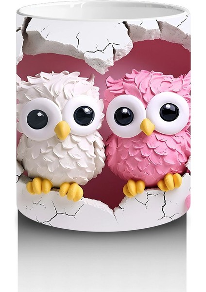 Kalpli Arka Planda Renkli Baykuş Çifti – Baskılı Kahve Kupası modelleri