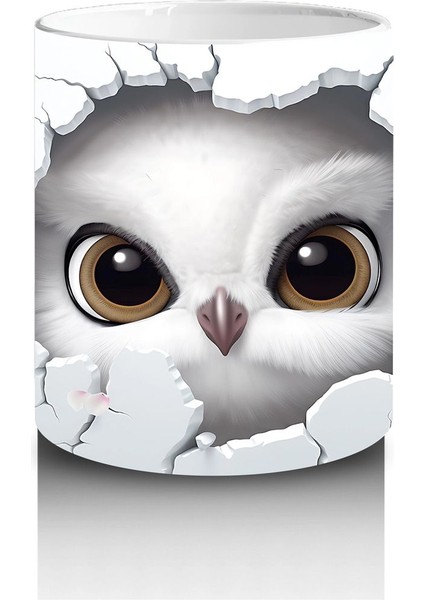 Kalpli Çatlakta Bakan Meraklı Baykuş – Baskılı Kahve Kupası modelleri