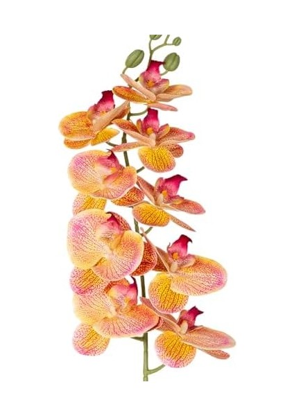 Yapay Orkide Gerçek Dokunuş Pembe-Sarı 95 Cm. fiyatları