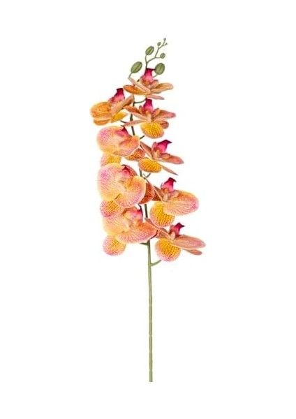 Yapay Orkide Gerçek Dokunuş Pembe-Sarı 95 Cm. modelleri