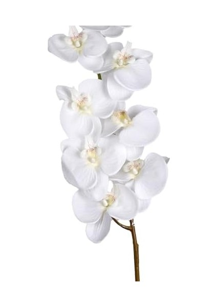 Çiçek Orkide Beyaz 115 Cm. fiyatları