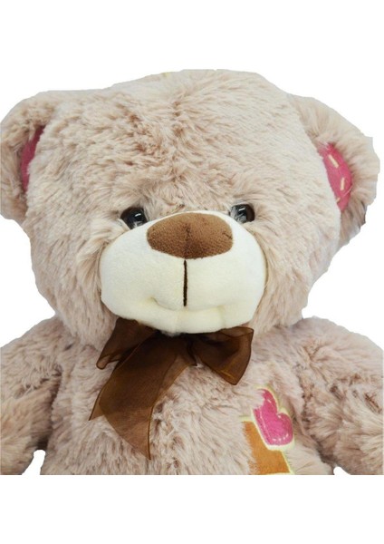Halley PL62316 Sevimli Peluş Ayı 55 Cm. modelleri