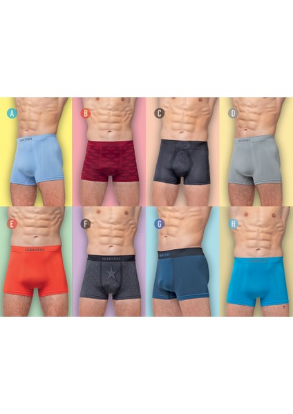 Boxer fiyatları