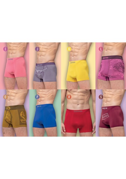 Boxer modelleri