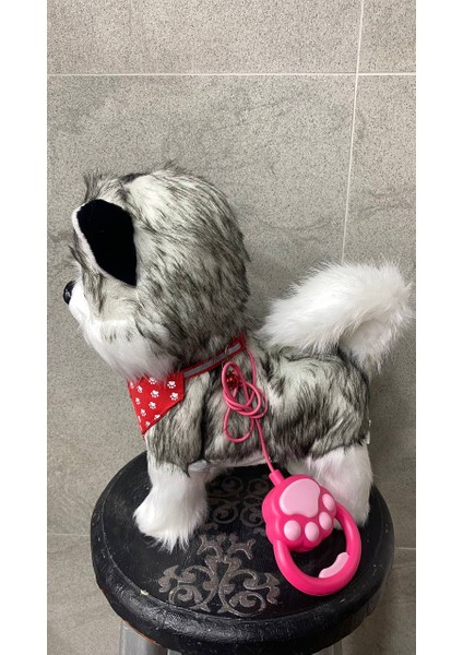 Müzikli Yürüyen Havlayan Yalayan Kuyruk ve Başını Sallayan Ses Kaydı Yapan Pilli Peluş Köpek fiyatları